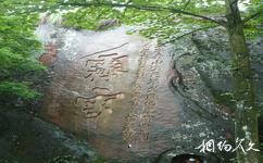 泸州丹山旅游攻略之摩崖石刻