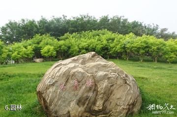 高青千乘湖生态文化园-园林照片