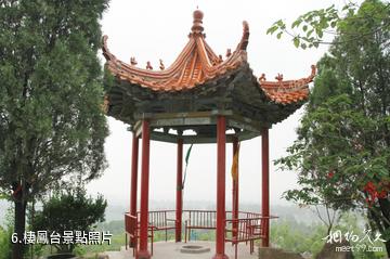 菏澤金山旅遊區-棲鳳台照片