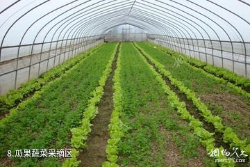 上海多利农庄生态园-瓜果蔬菜采摘区照片