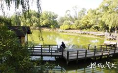 北京白鹭园旅游攻略之垂钓园
