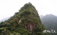 南岭国家级自然保护区旅游攻略之小黄山