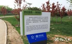 锦州世界园林博览会旅游攻略之海棠园