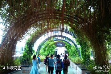 珠海罗西尼工业旅游园区-钟表花圃照片