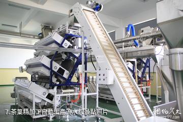 武夷香江茗苑景區-茶葉精加工自動生產流水線照片