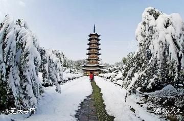 松阳松阴溪景区-延庆寺塔照片