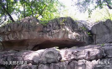 三峡鸣翠谷（紫阳龙洞）-天然石隧道照片