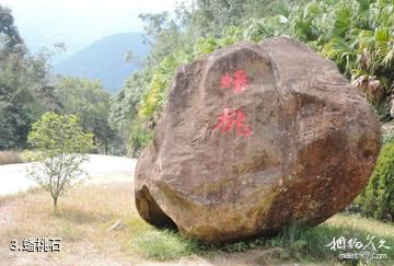福清灵石山国家森林公园-蟠桃石照片