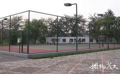 北京万芳亭公园旅游攻略之室外网球场