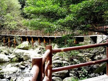 漢中天台森林公園-啞姑山照片