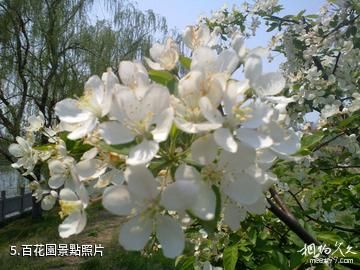 臨沂盛能遊樂園-百花園照片