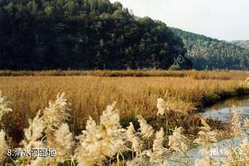 延安子午岭国家级自然保护区-清水河湿地照片