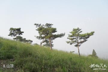 沂南诸葛亮文化旅游区-山顶照片