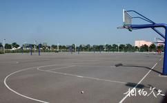 河南大学校园概况之篮球场