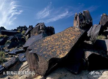 阿拉善盟曼德拉山岩畫-馴馬岩畫照片