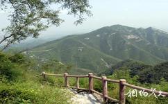 千灵山自然旅游攻略之主景区