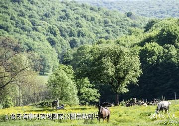 象牙海岸科莫埃國家公園照片