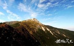 福建闽江源国家级自然保护区旅游攻略之金铙山