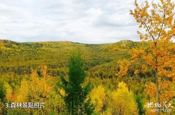 滿歸伊克薩瑪國家森林公園-森林照片