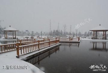 欒城櫻花公園-雪景照片