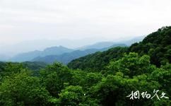 天水小隴山國家級自然保護區旅遊攻略之碧峪景區