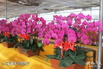 临洮三易花卉园-花艺展示销售厅照片