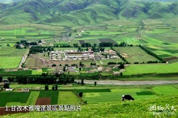 甘孜木雅嘎達景區照片