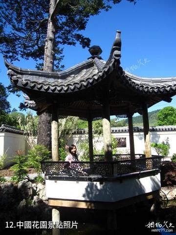 紐西蘭尼爾森市-中國花園照片