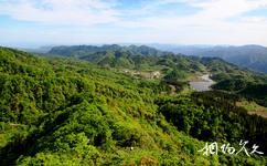 绥阳宽阔水国家级自然保护区旅游攻略之原始森林