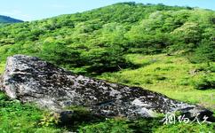 陕西黑河国家森林公园旅游攻略之蛙鸣石