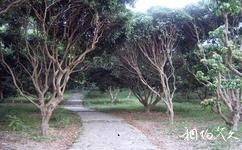 深圳仙湖植物園旅遊攻略之百果園
