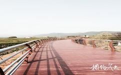 宜興湖父深氧健身公園旅遊攻略之木橋