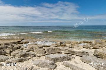 威尔逊岛海底风光-岩石堆照片