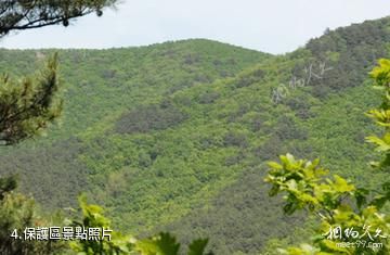 吉林天佛指山國家級自然保護區-保護區照片