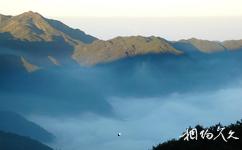 龙岩梅花山中国虎园旅游攻略之天然云海