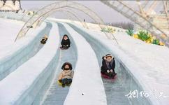 哈爾濱冰雪大世界旅遊攻略之極速大滑梯