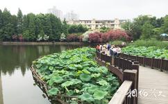 上海和平公园旅游攻略之风景游览区