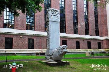 美国哈佛大学-龟兽驮碑照片