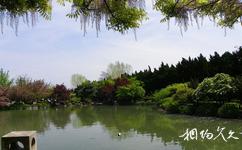 上海嘉定古城旅游攻略之紫藤公园