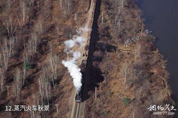 克什克腾旗热水塘温泉疗养旅游区-蒸汽火车秋景照片