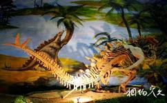 自貢恐龍博物館旅遊攻略之二樓展廳