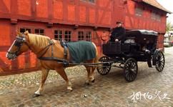 丹麦奥胡斯老城旅游攻略之马车