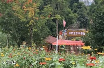 巴中九寨山景区-花鸟岛照片