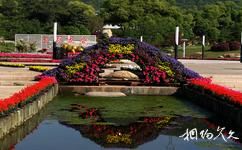無錫市太湖花卉園旅遊攻略之花卉基地