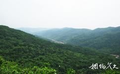 陝西石門山國家森林公園旅遊攻略之森林
