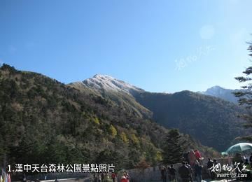 漢中天台森林公園照片