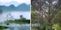庆元县百山祖国家级自然公园驴友相册