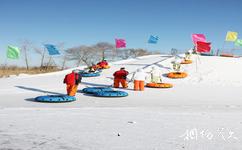 大慶鶴鳴湖濕地溫泉旅遊攻略之冬季娛樂