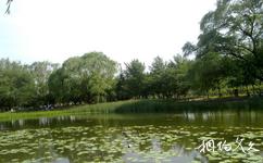 北京玉淵潭公園旅遊攻略之引水湖