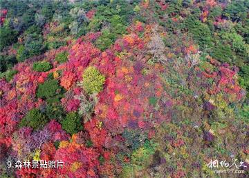 濟南九如山瀑布群風景區-森林照片